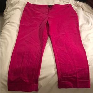Express Editor Pant Hot Pink Sz12R